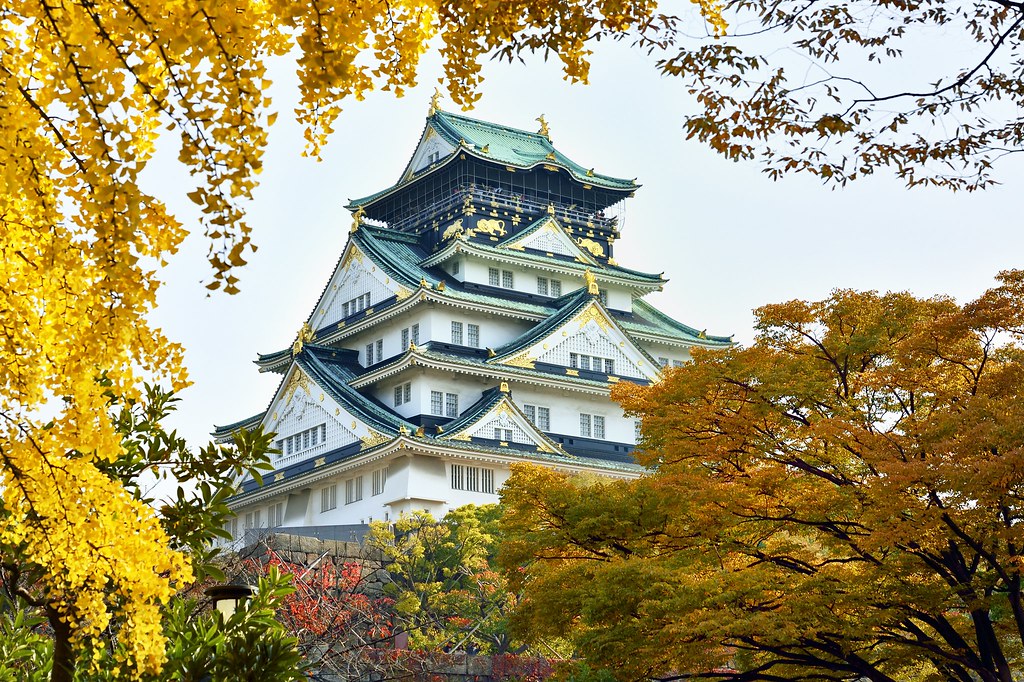221120231337 1700635070 lau dai osaka mua thu