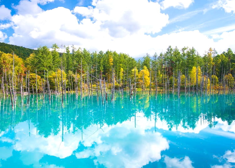 Shirogane Blue Pond 11