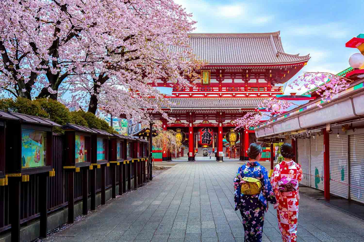 asakusa kannon hoa anh đào