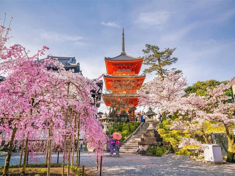 chua thanh thuy kyoto mua xuan.jpg