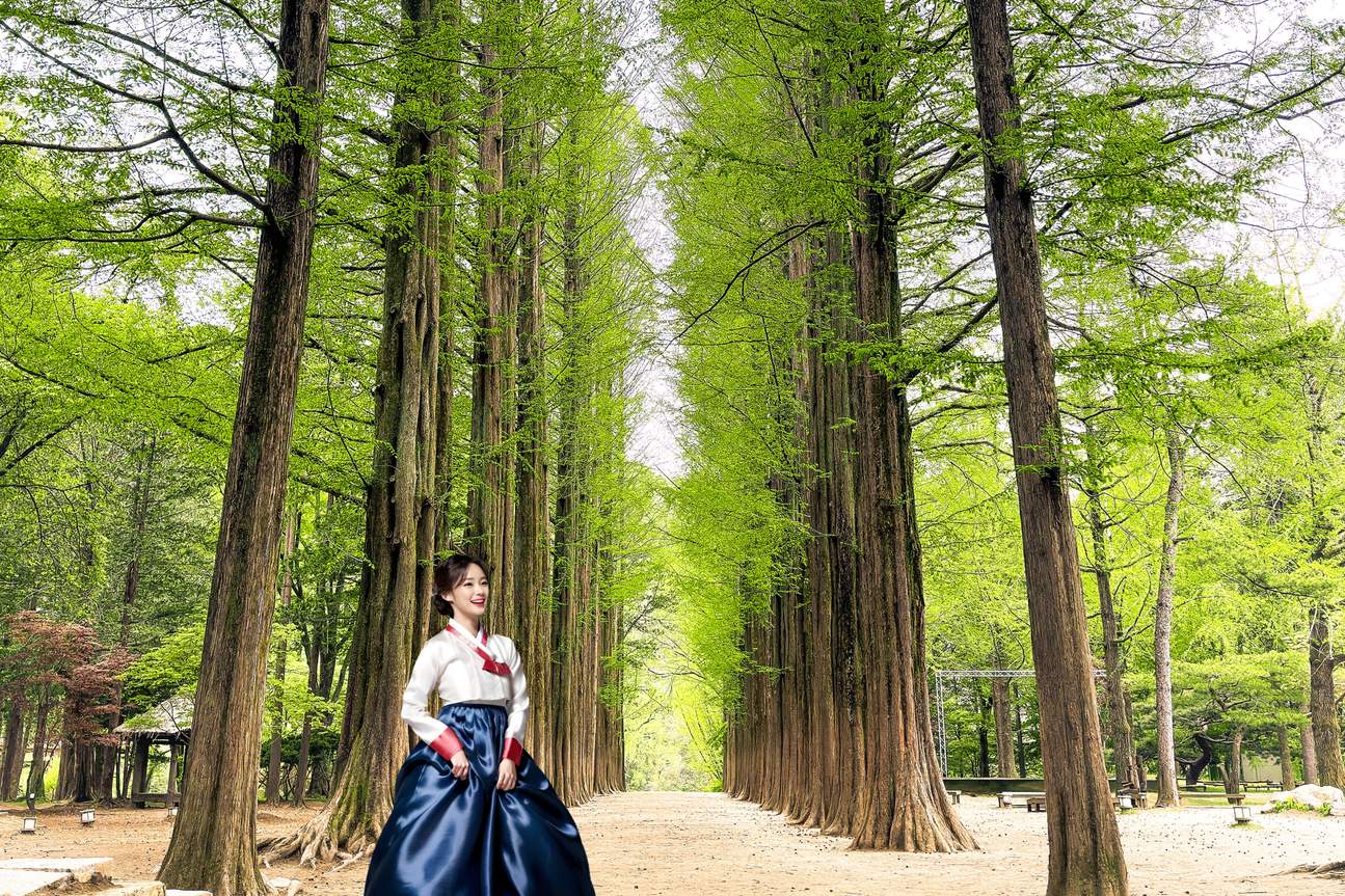 TOUR HÀN QUỐC 6N5Đ: BUSAN - GYEONGJU - SEOUL - NAMI