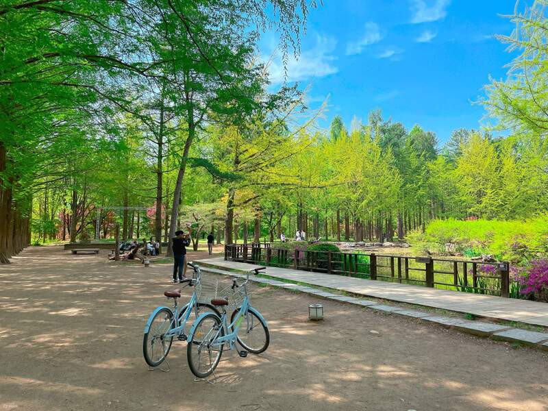 TOUR HÀN QUỐC 6N5Đ: BUSAN - GYEONGJU - SEOUL - NAMI