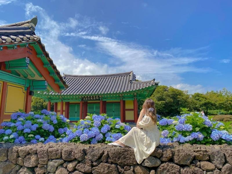 TOUR HÀN QUỐC 6N5Đ: SEOUL - JEJU - NAMI - CAMELLIA HILL BAY 7C