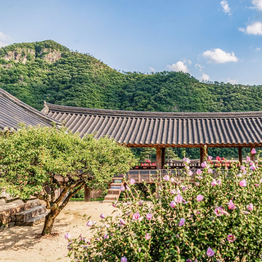 TOUR 5N4Đ HÀN QUỐC: HN - BONGHWA - ANDONG - SEOUL BAY WE