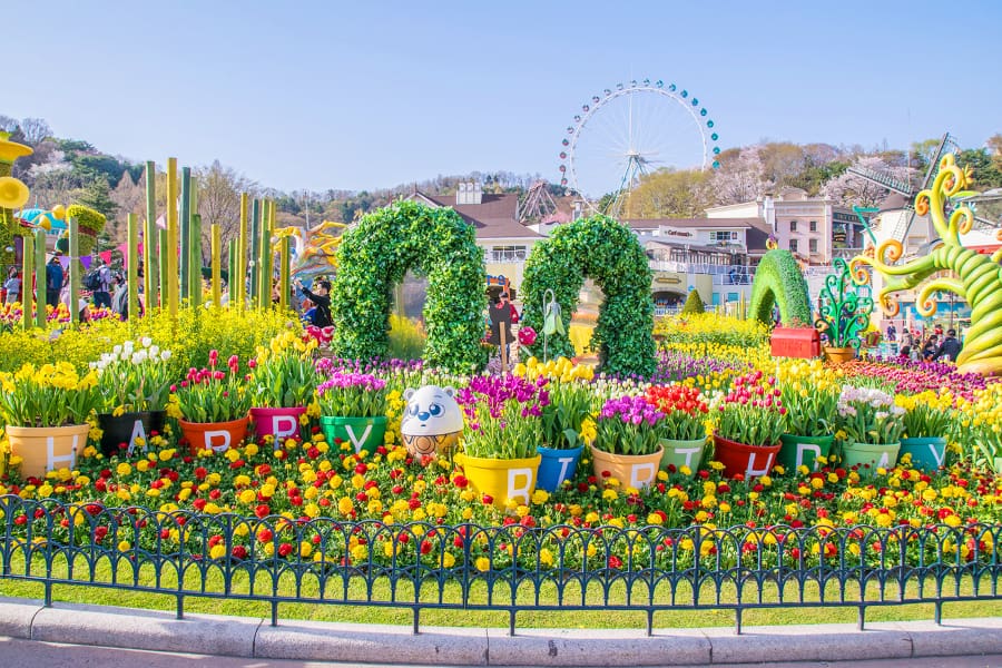 TOUR HÀN QUỐC 5N4Đ MÙA THU: SEOUL - NAMI - EVERLAND - HÁI TÁO