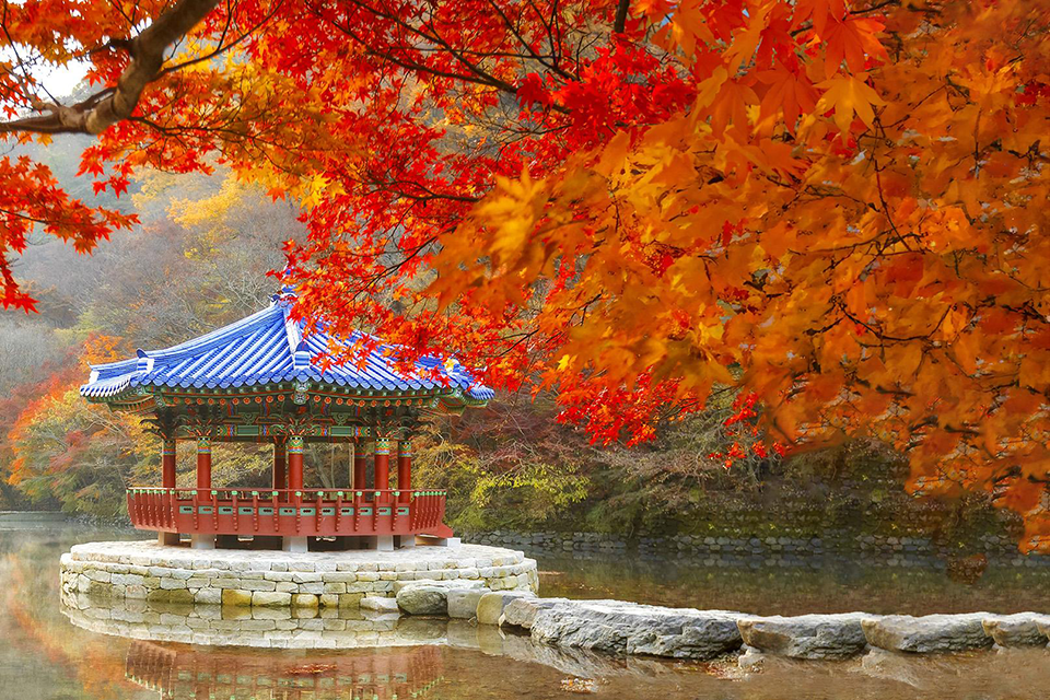 TOUR HÀN QUỐC 6N5Đ: BUSAN - GYEONGJU - SEOUL - TÀU ĐIỆN - CỎ HỒNG