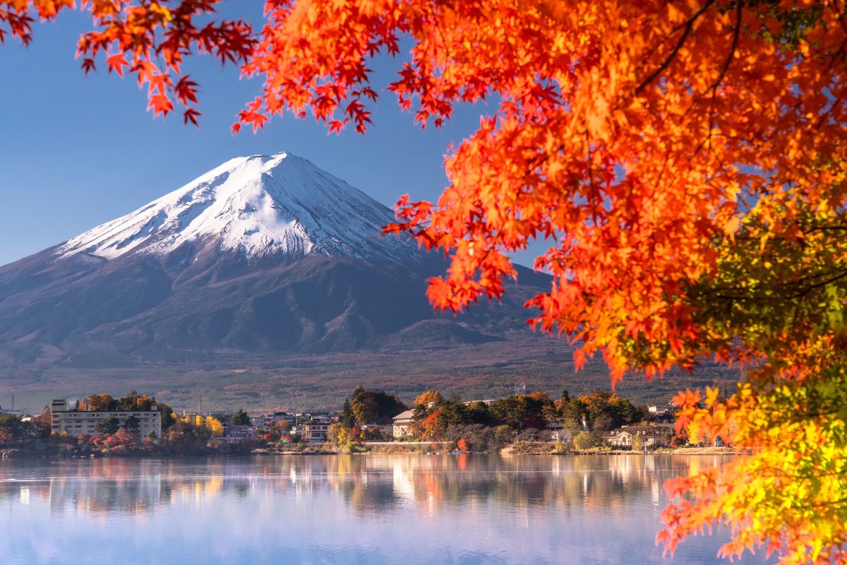 TOUR 6N5Đ NHẬT BẢN MÙA THU: OSAKA - KOBE - KYOTO - FUJI - TOKYO