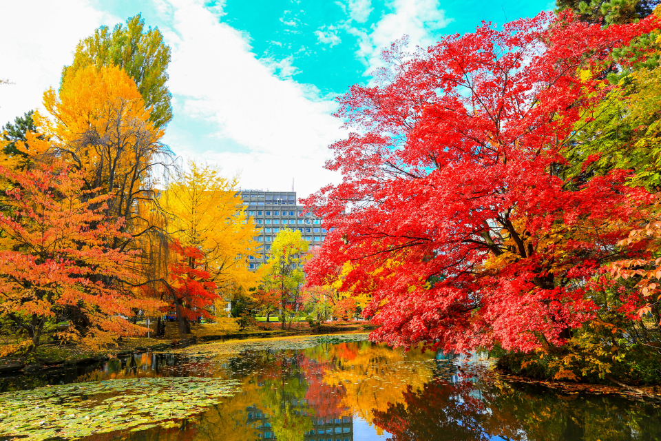 TOUR 6N5Đ NHẬT BẢN MÙA THU: NAGOYA - NARA – OSAKA - KYOTO - NÚI PHÚ SĨ - TOKYO