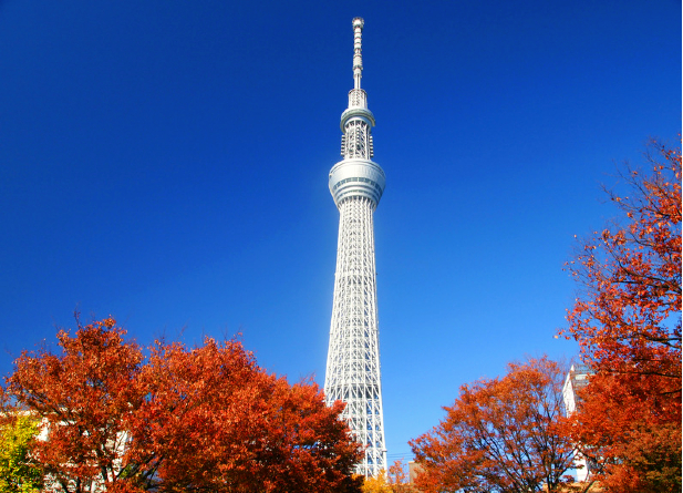 TOUR 6N5Đ NHẬT BẢN MÙA THU: NAGOYA - NARA – OSAKA - KYOTO - NÚI PHÚ SĨ - TOKYO
