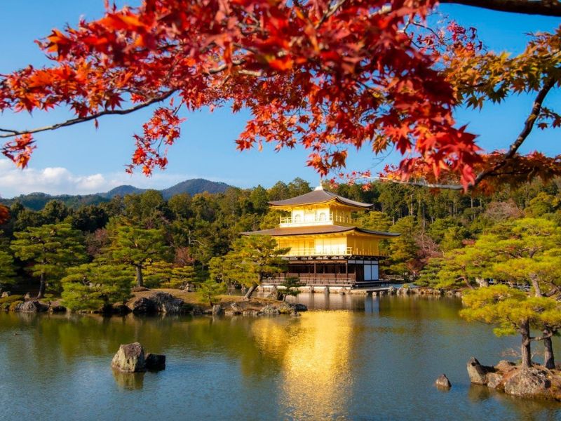 TOUR NHẬT BẢN 5N4Đ MÙA THU: TOKYO - NÚI PHÚ SĨ - NAGOYA - KYOTO - OSAKA