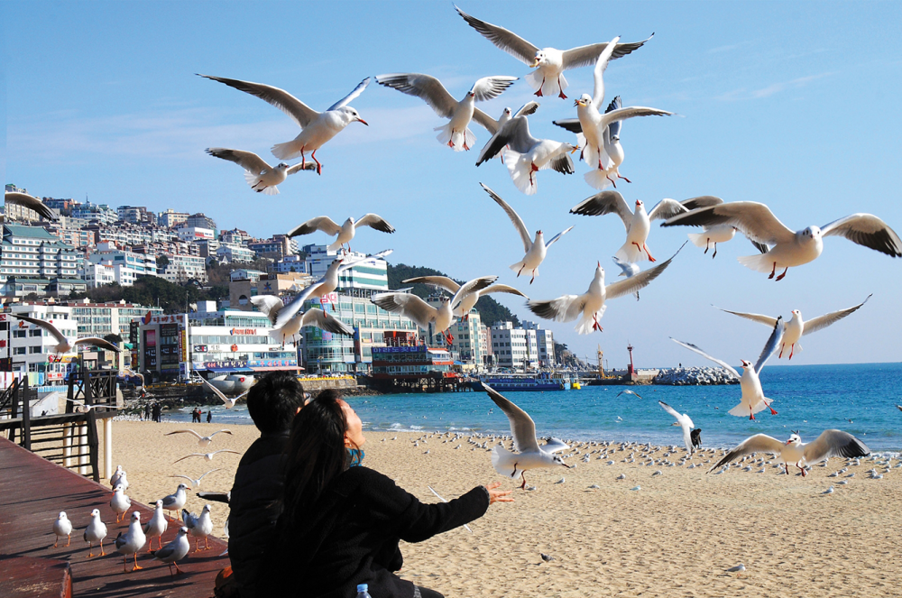 dia diem du lich le 30 4 o busan 1 e1778723667181 3