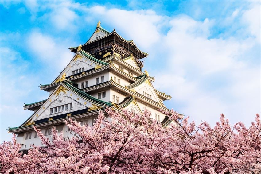 lâu đài osaka hoa anh đào