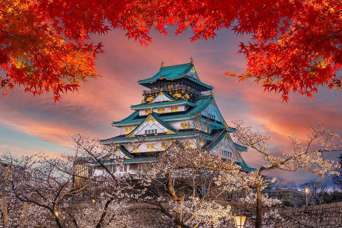 lau dai osaka 3 1