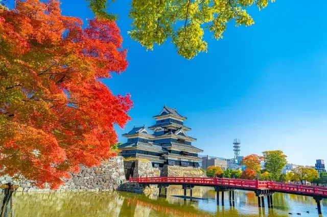 laudaimatsumoto