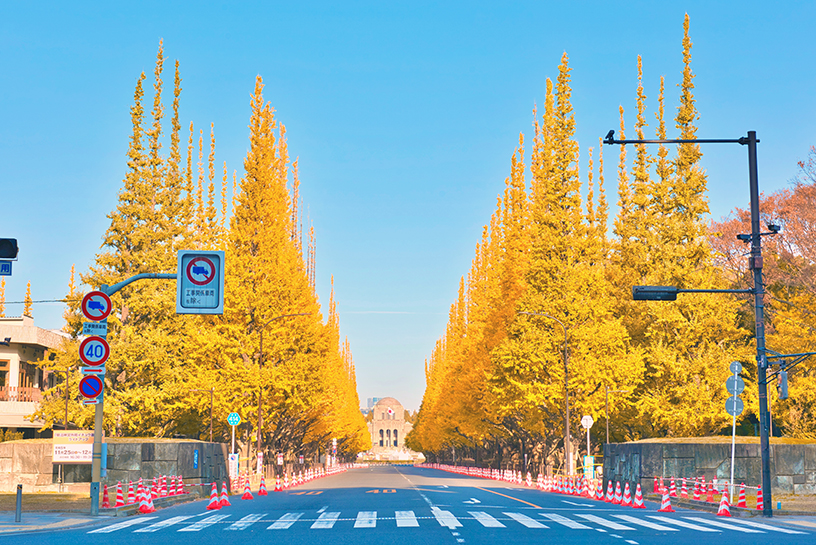 meiji gaien