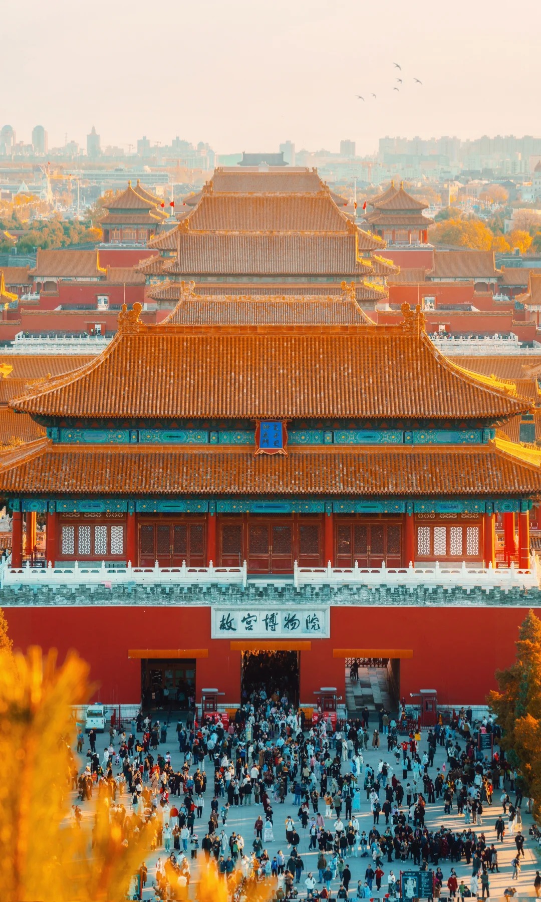 tử cấm thành