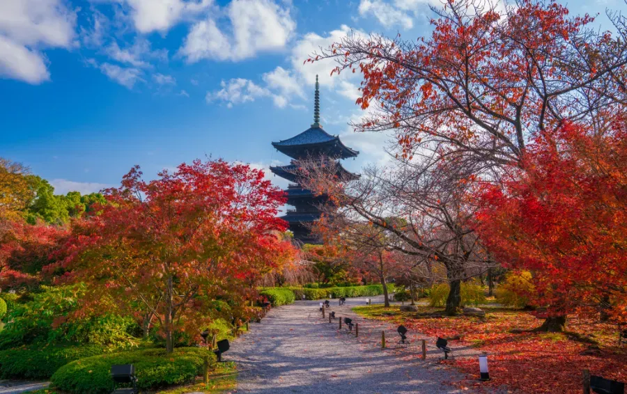 toji temple