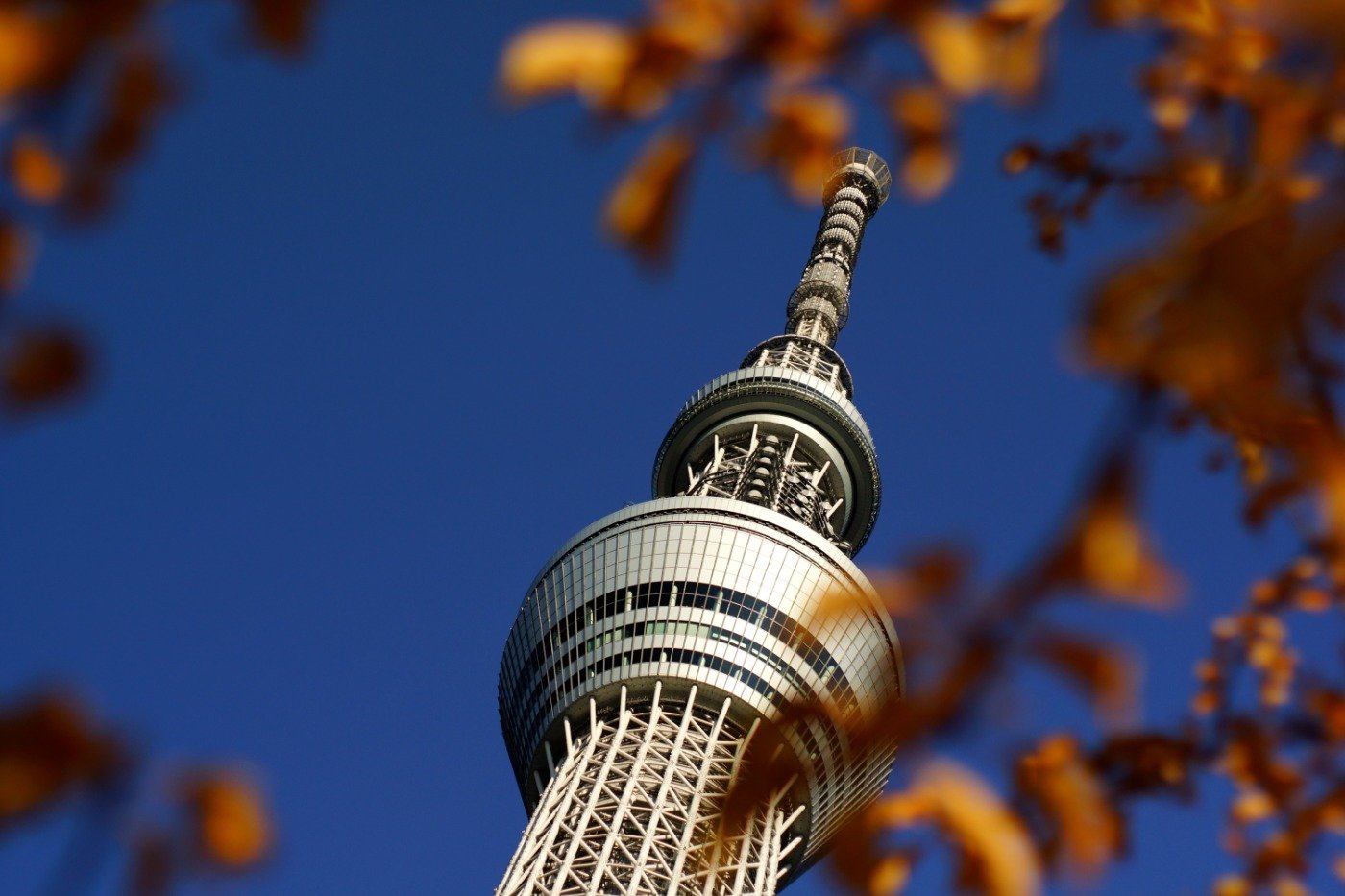 tokyo skytree